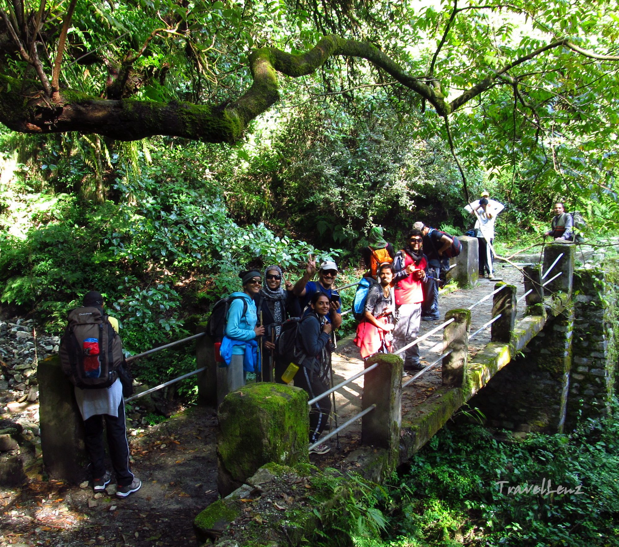 Trekkers pose on a stone bridge in the middle of a forest