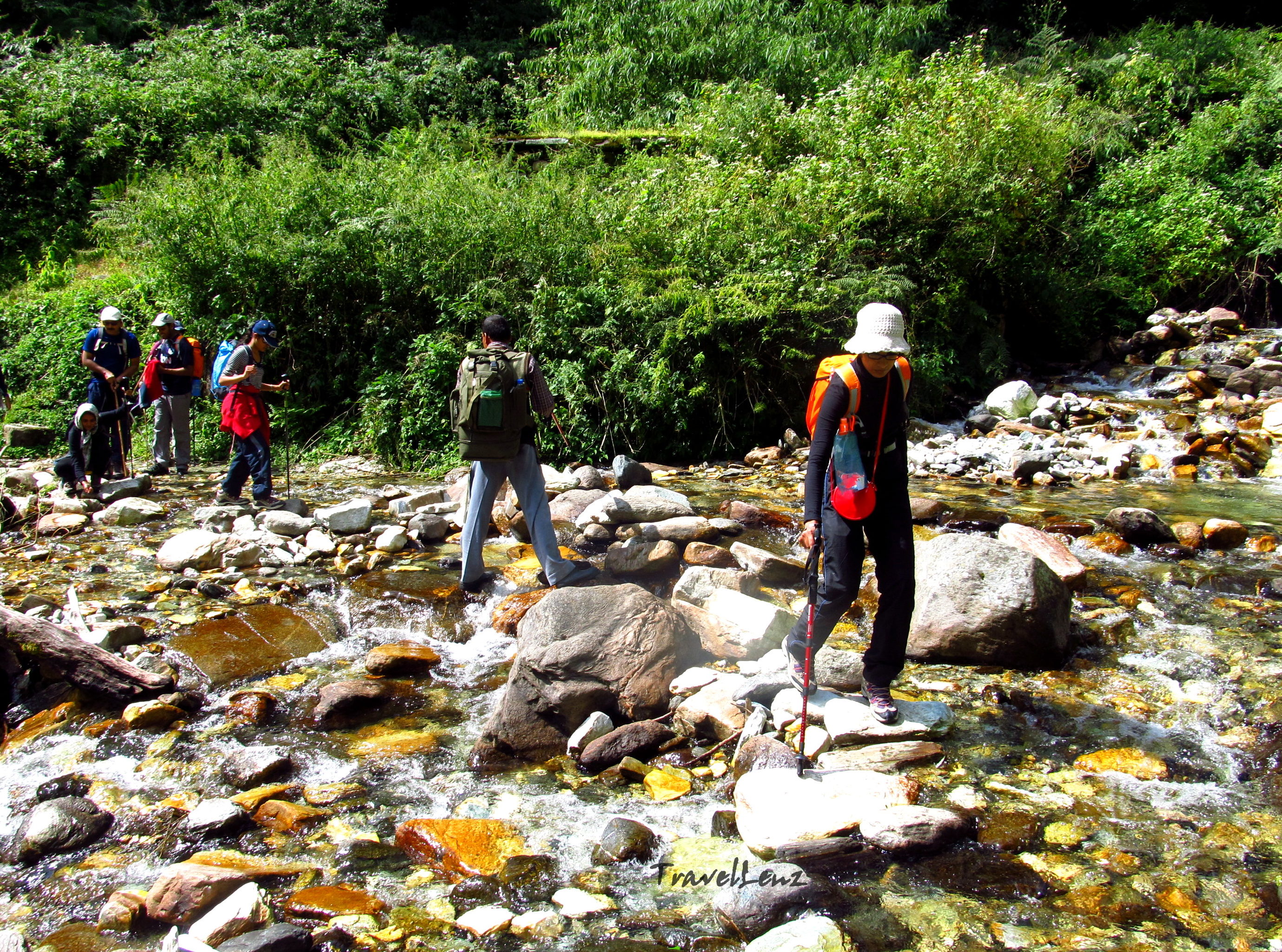 Trekkers crossing a small brook in the forest