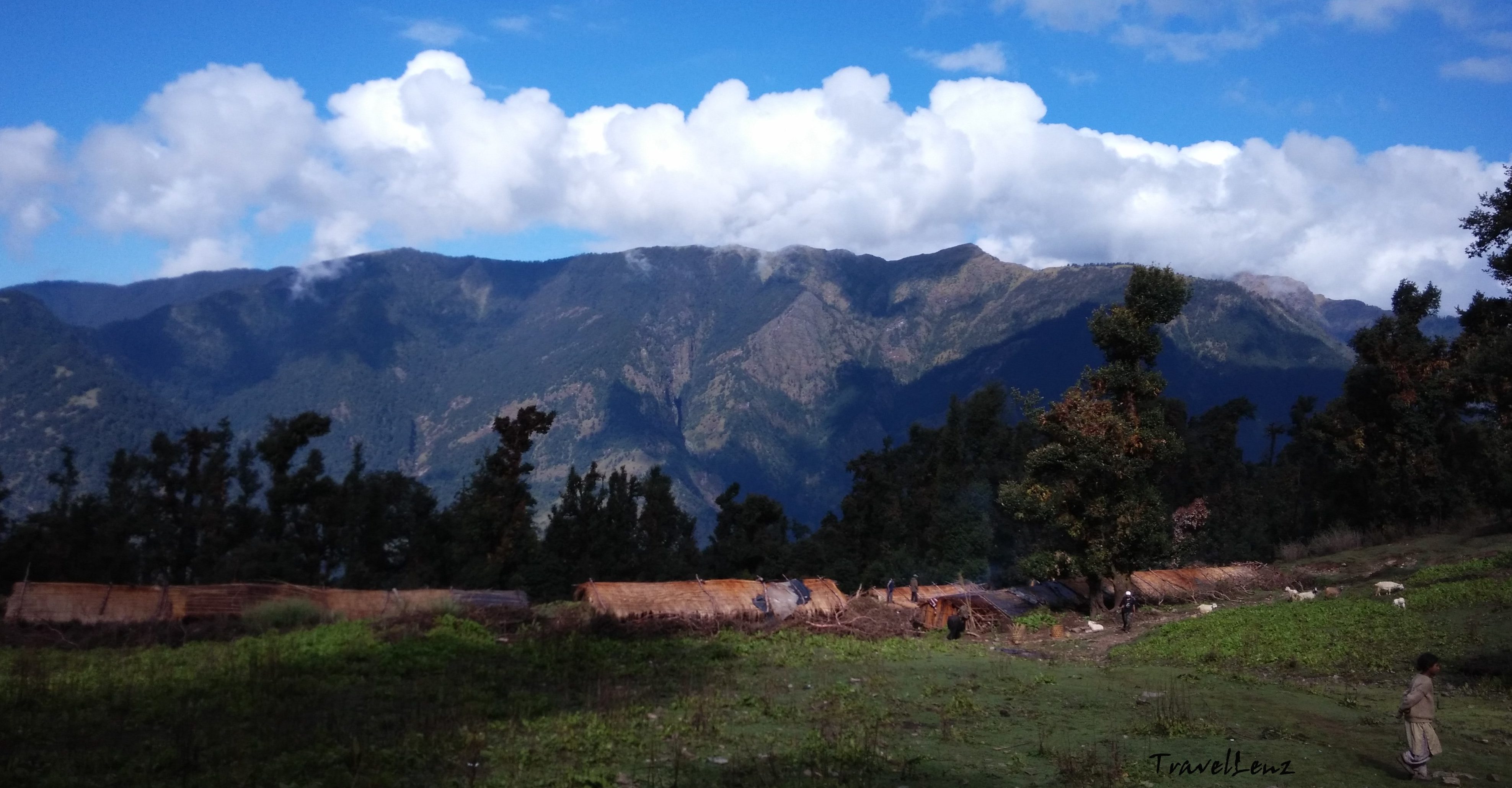 The beautiful forest village of Tol Pani with a row of thatched houses on the way from Didna to Ali Bugyal