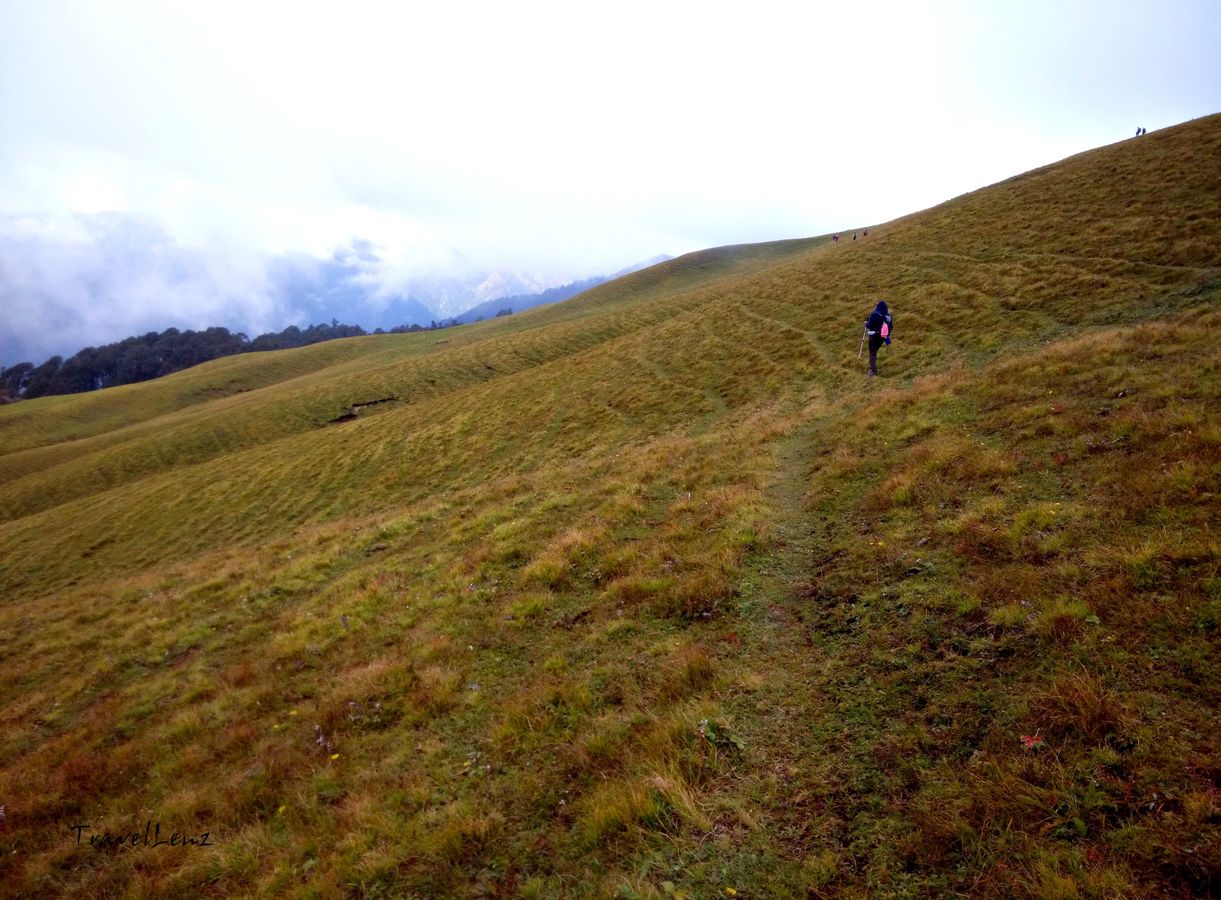 A lone trekker walking across an alpine meadow