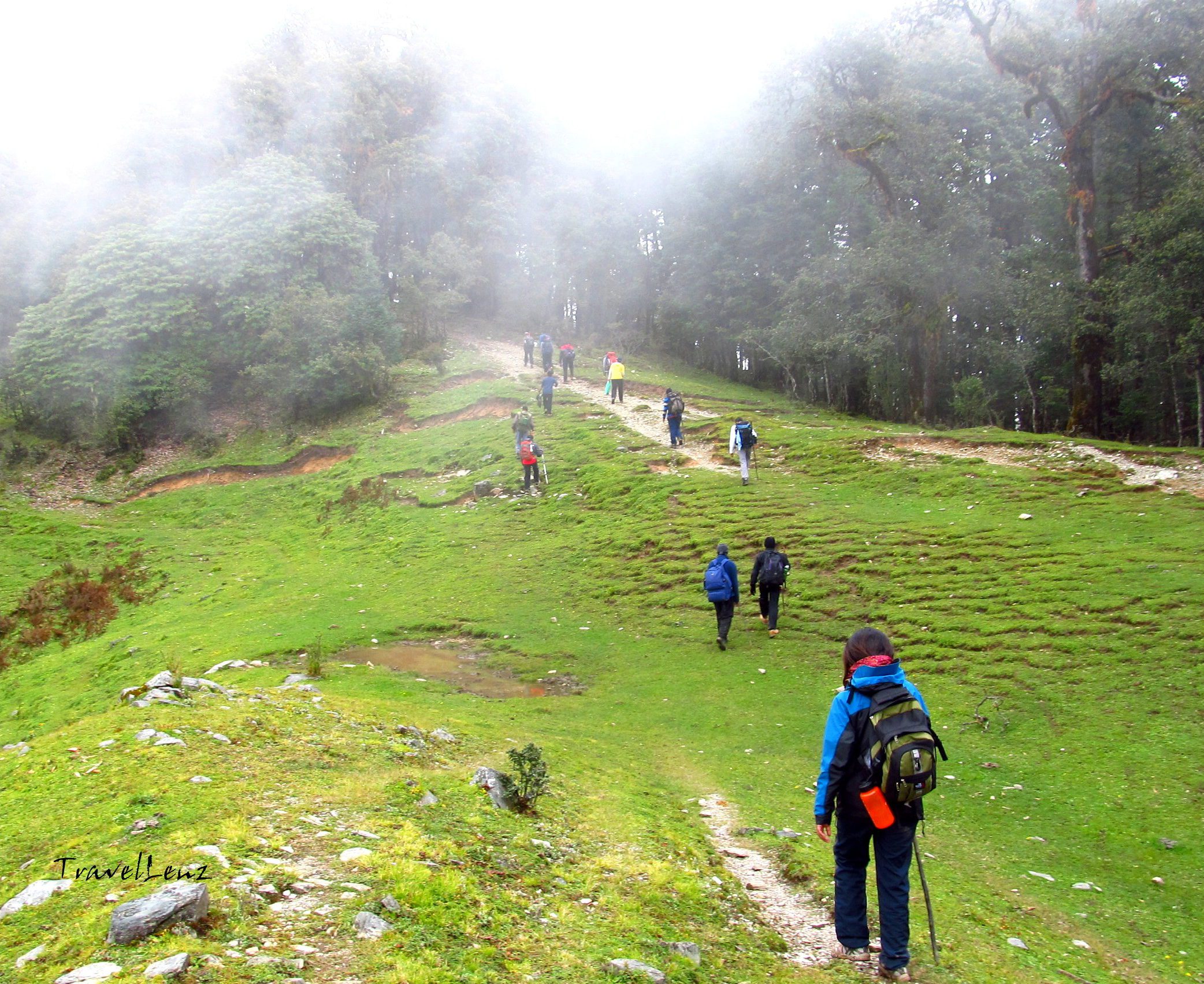 Trekkers walking across alpine meadows