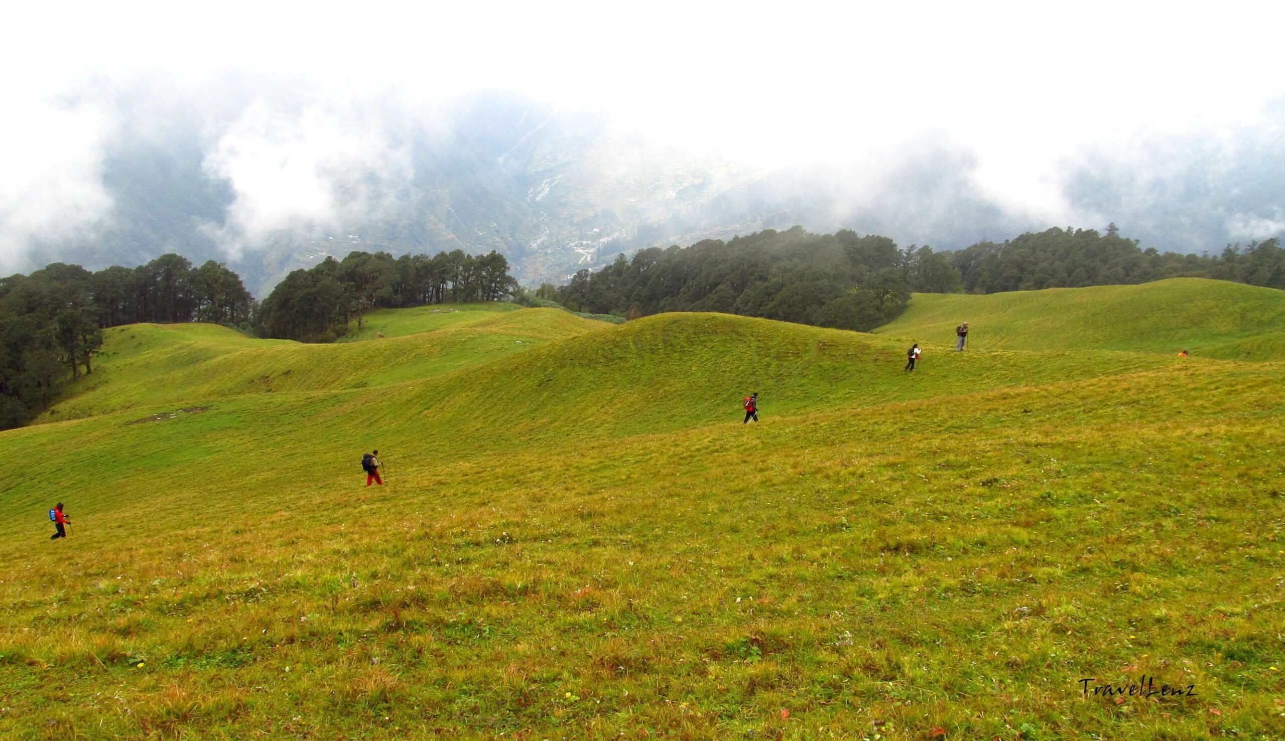 Trekkers traversing an alpine meadow
