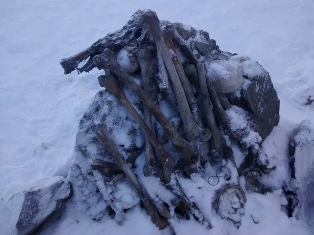 A heap of human bones lie on the snow