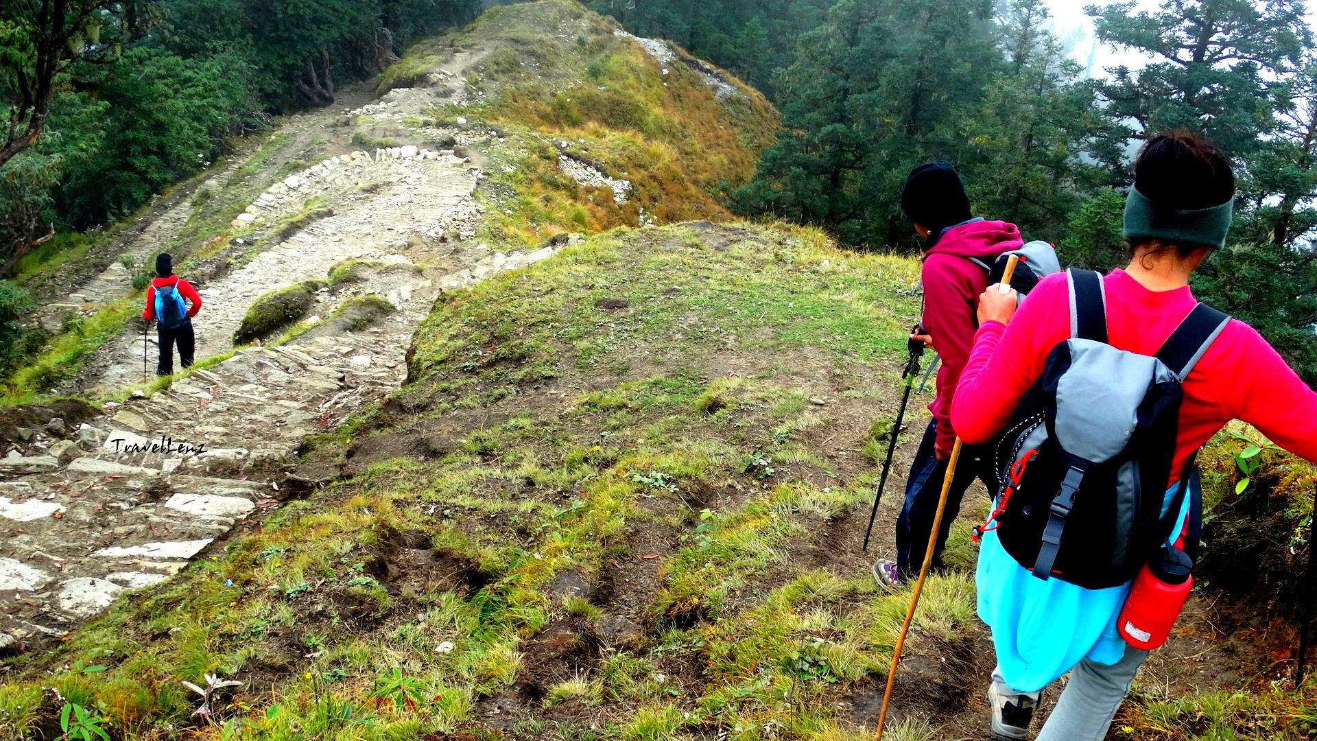 Trekkers Climbing down a stone path