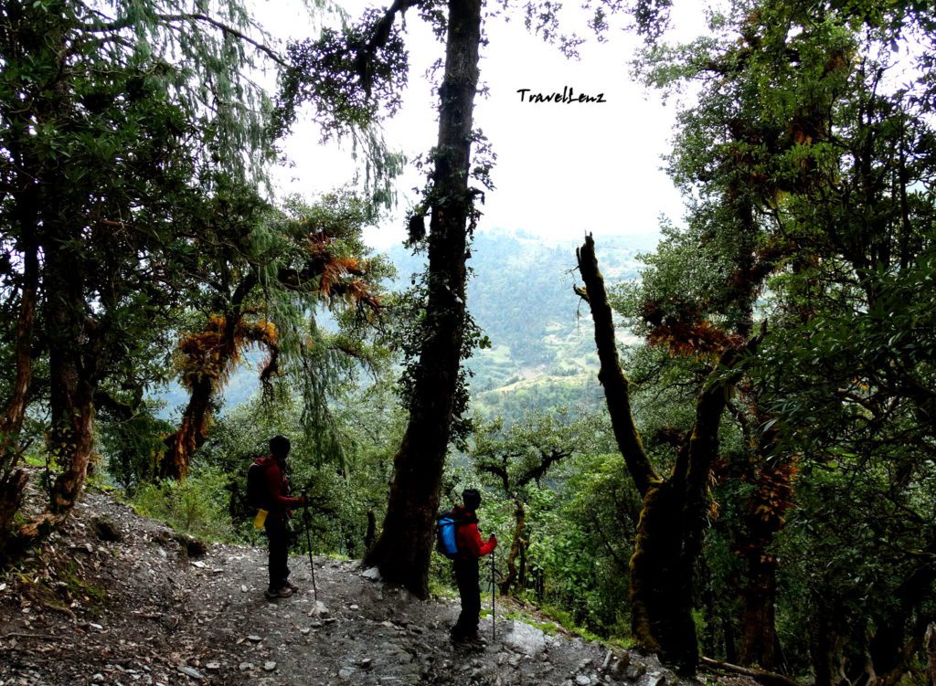 A glimpse of a village through a forest clearing