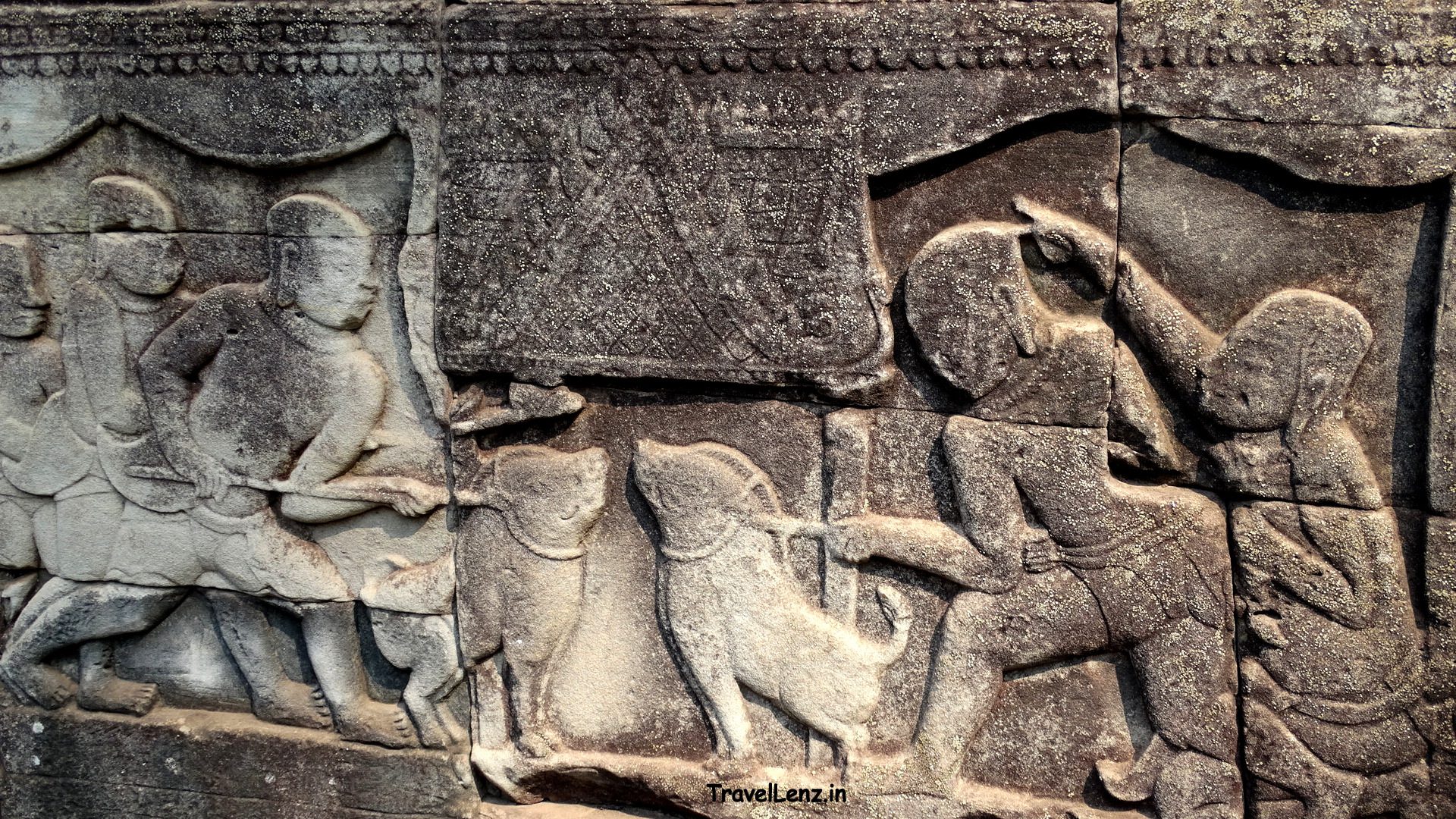 Group of Khmer men prepare for a boar-fight