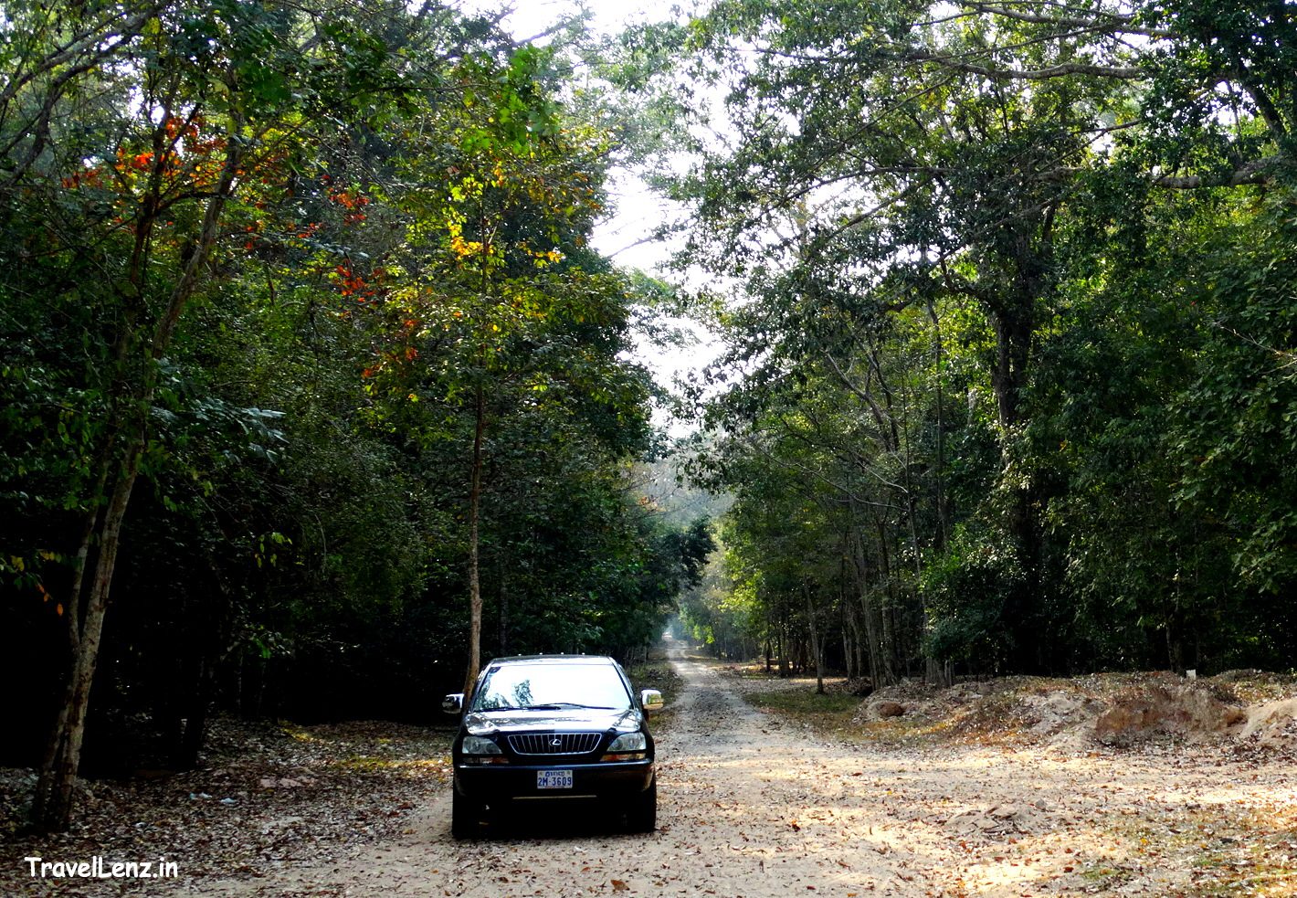Jungle road leading to Angkor Thom eastern gate