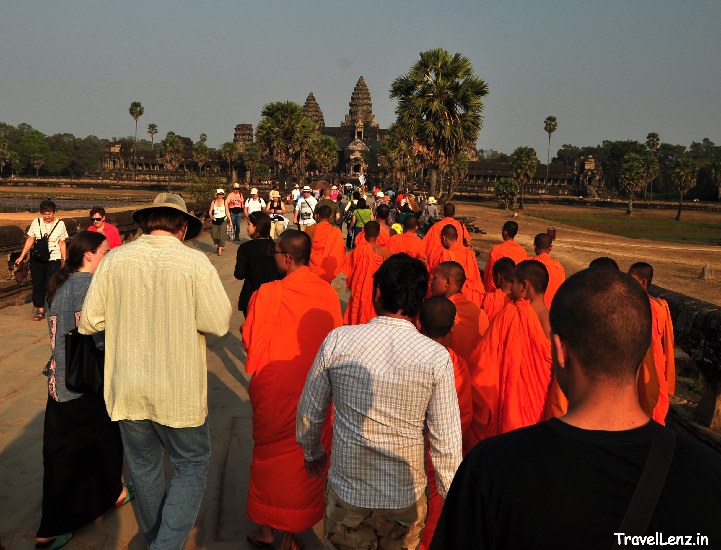 Monks in their colorful orange robes standing out in the crowd