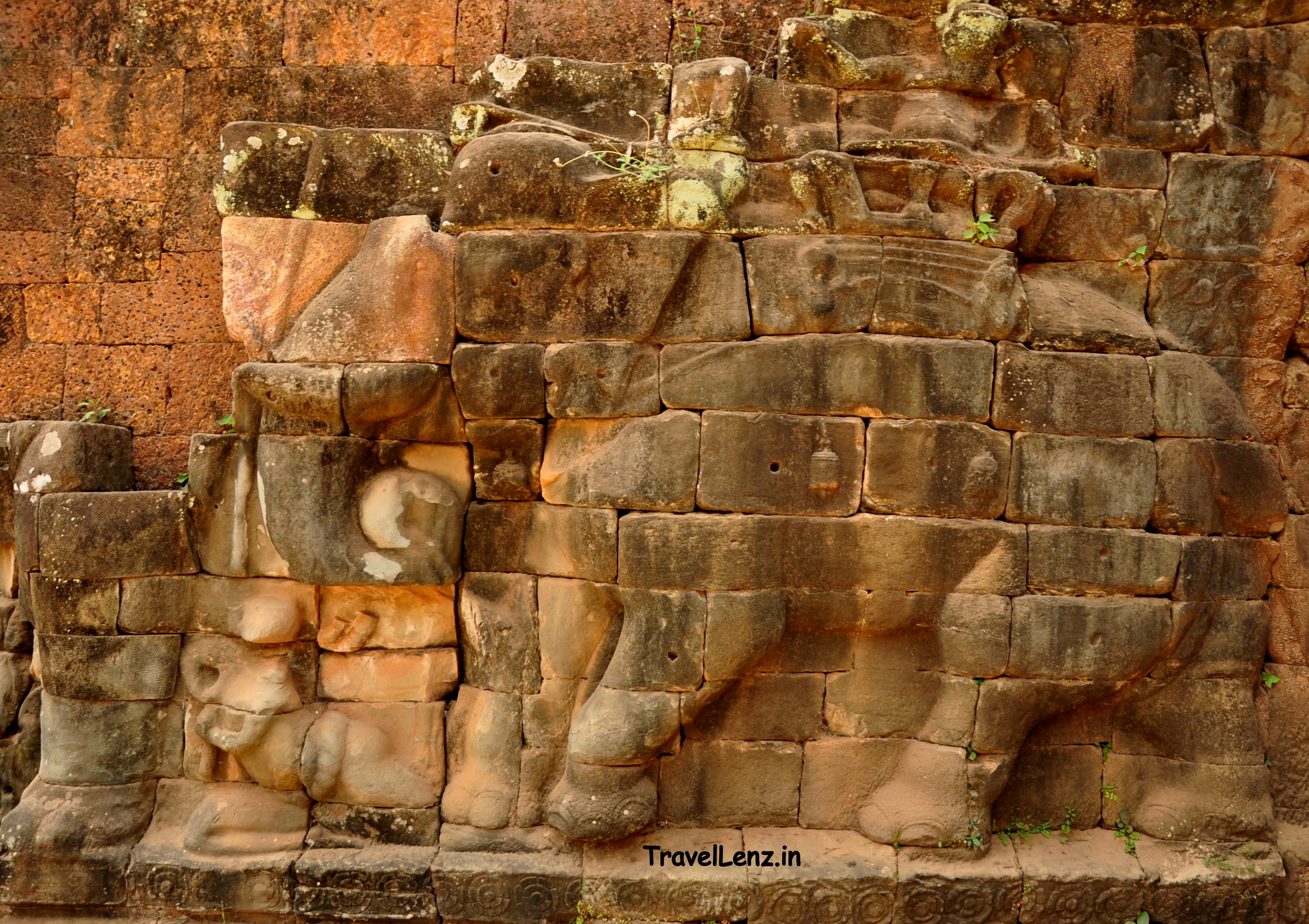 An elephant and mahout