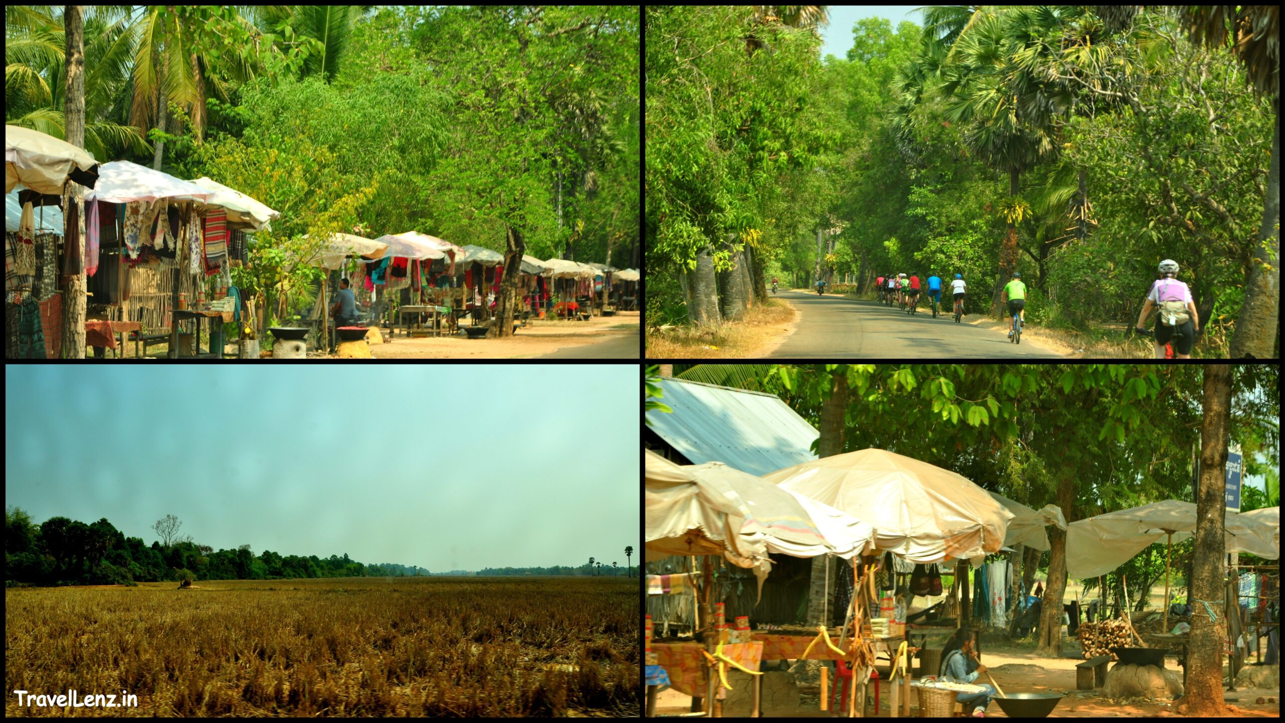 Road-side scenery on the way to Banteay Srei