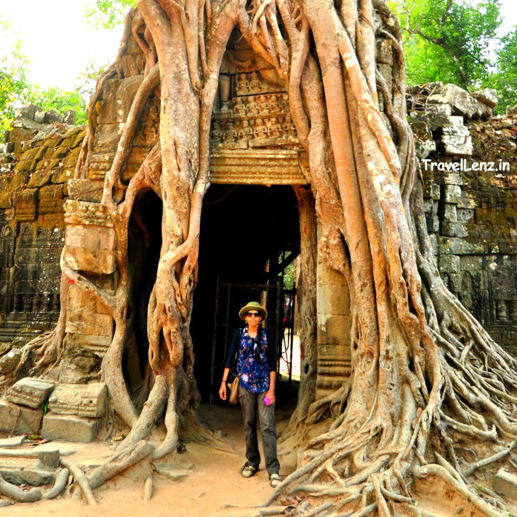 Strangler fig roots framing the eastern gopura