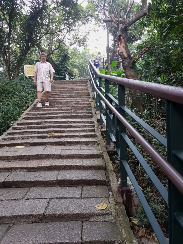 Man climbing down a flight of steps next to handrails and greenery all around