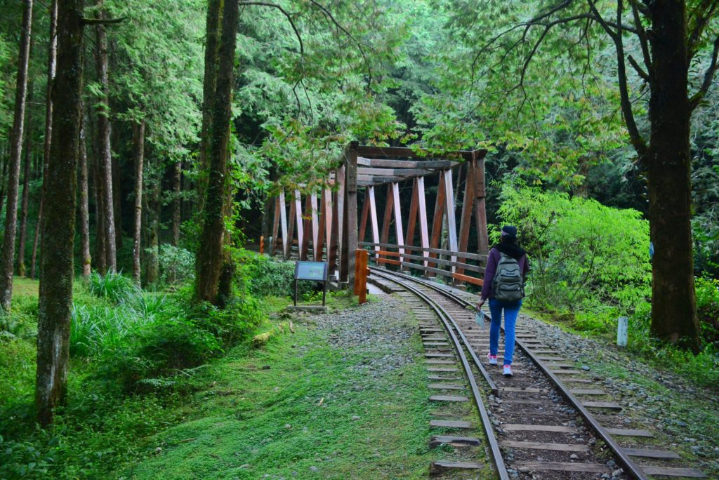 A lady walking on a train track in a green forest with a bridge