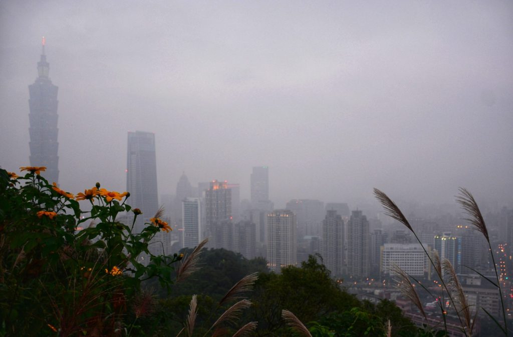 Tall buildings in a city skyline with flowers and plants in the foreground