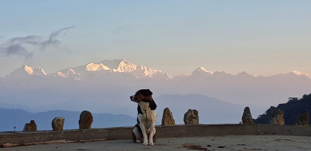 sleeping buddha is one reason why you should visit sandakphu