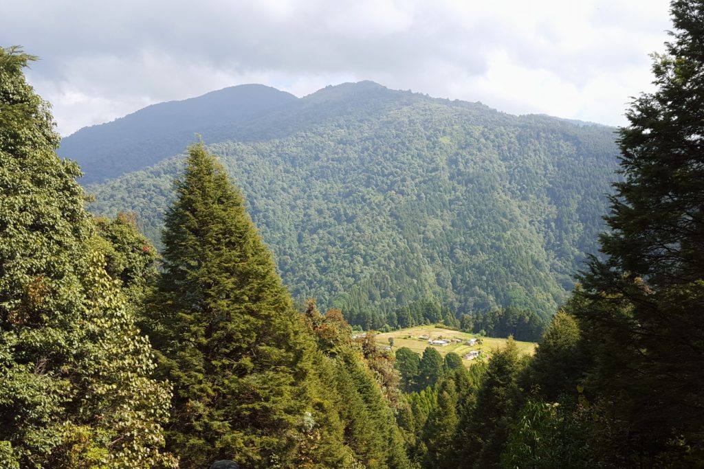 View of a village through a forest clearing