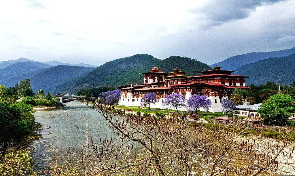 A grand ancient building by a river with hills in the background and a dried tree in the foreground