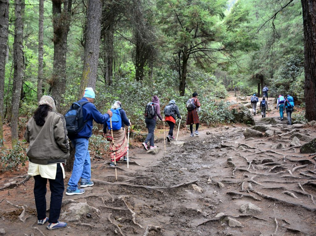 A group of trekkers walking on a mountain path in a forest