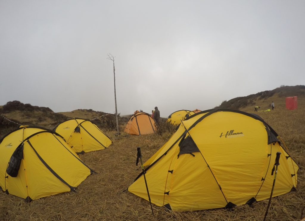 A campsite with yellow erected tents