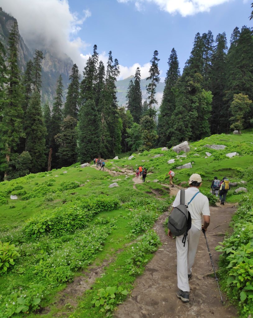 A group of trekkers walking through a grassy hillock with tall trees under a blue sky